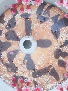 عکسی از دستور کیک قابلمه ای