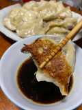Opo Squash Potstickers
