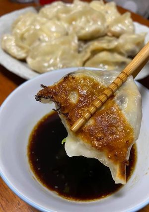 A picture of Opo Squash Potstickers.