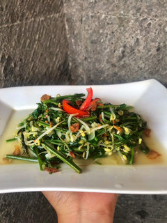 Foto resep Tumis Pakis Tauge