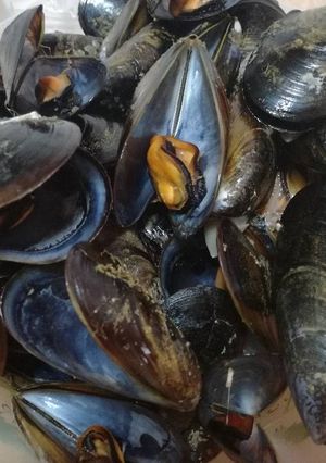 Foto principal de Mejillones al vapor