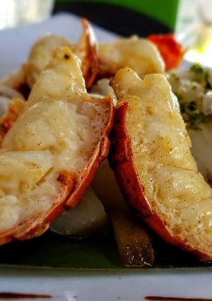 Una foto de COLITAS De 🦐Langosta...!