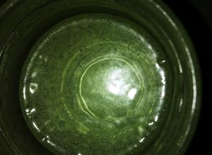 Una foto de Soda de aloe vera y manzanilla(fresh) para descansar
