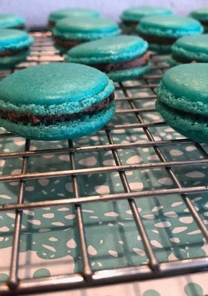 A picture of Macrons.