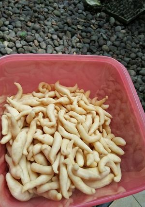 Foto resep Telur Gabus