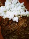 Mole flojo