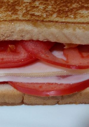 Foto principal de Sándwich de queso, pavo y tomate