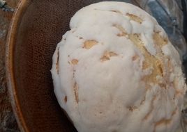 Conchas de vainilla