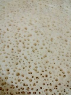 صورة لوصفة بغرير خفيف وبنين 😋😋