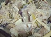 Gambar ikan sungai stim