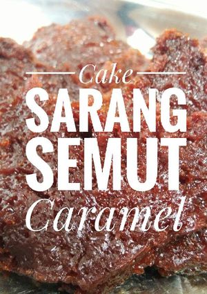 Foto resep Bolu sarang semut caramel 🍰
