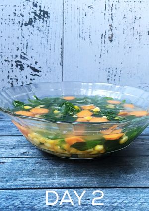 Foto resep Diet GM day 2 (sayur bening daun katuk)