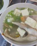 尼羅河紅魚豆腐湯
