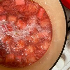 A picture of Rhubarb and cardamom compote.