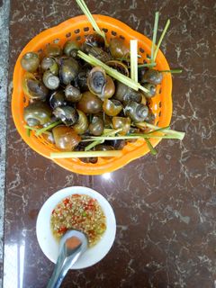 Hình của món Ốc luộc chấm mắm gừng.