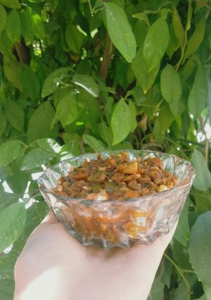 عکسی از دستور سالاد شور