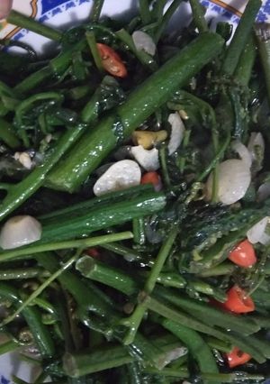 Foto resep Tumis pakis