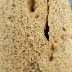 A picture of Puto.