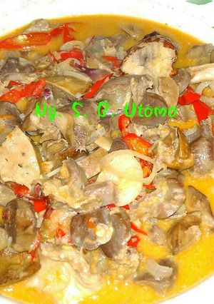 Foto resep 🐤 Sambal goreng ati 🐤