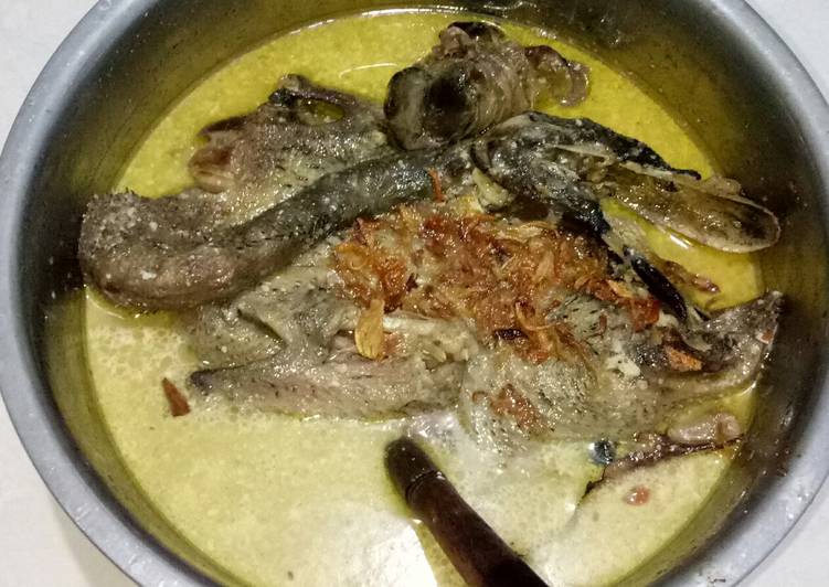 Resep Opor Bebek Super Enak