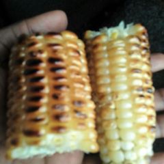 A picture of Maindi Choma.