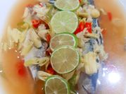 Gambar ikan temenung stim