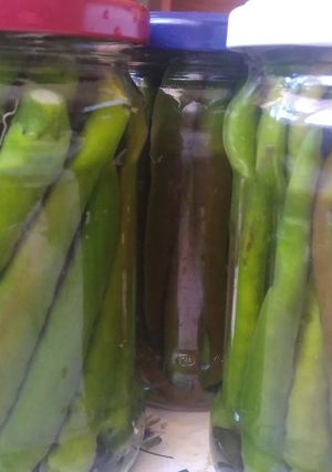 Savanyú, ropogós erős paprika recept fotója
