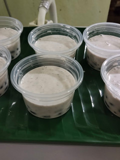 A picture of Coconut Jelly with Red Beans.