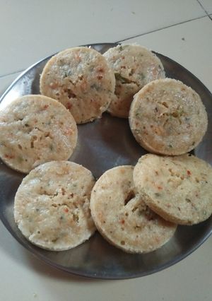 A picture of Oats vegetable idli.