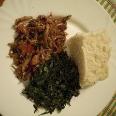 A picture of Omena, Sima and Sukuma.