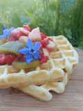 🧇 Gaufre allégée à la vanille (sans matière grasse)