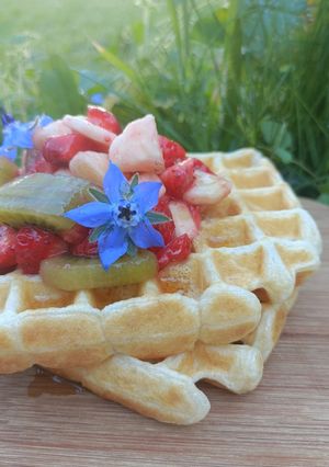 Une photo de 🧇 Gaufre allégée à la vanille (sans matière grasse)