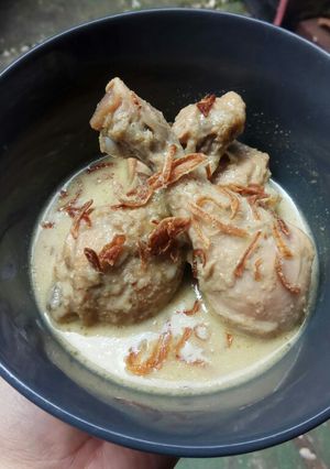 Foto resep Opor ayam Fibercreme & Munik