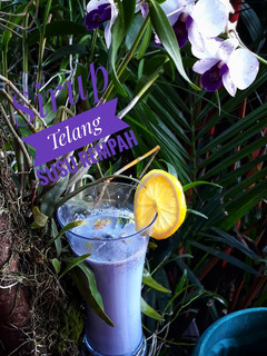 Foto resep Sirup Telang Susu Rempah