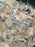 Rajas Poblanas with Cream