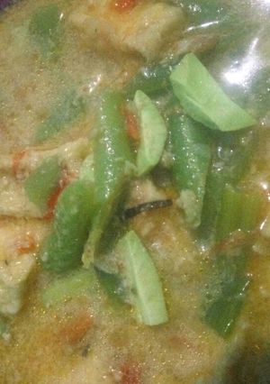 Foto resep Lodeh sederhana