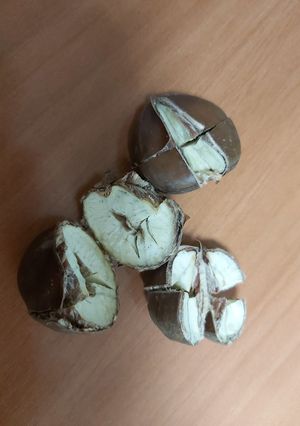 صورة لوصفة احلى سناك مغذي كستنا