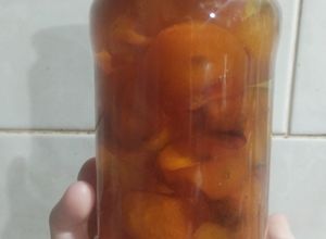 Una foto de Quinotos en almíbar