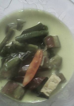 Foto resep Sayur lodeh simple
