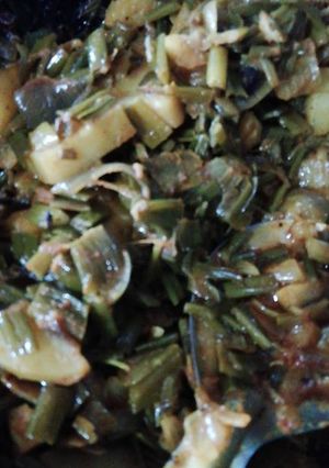 A picture of Barbatti bean veg.