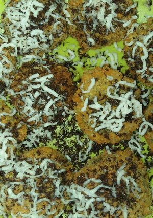 Foto resep Oreo goreng
