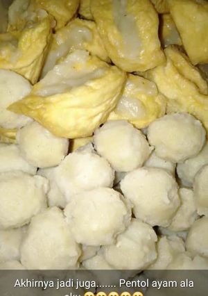 Foto resep Bakso ayam endesss...