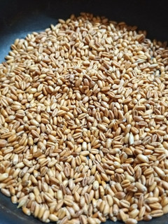 عکسی از دستور گندم برشته