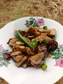 Gambar Terung, Cendawan dan Tempe Goreng