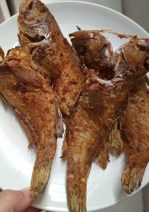 Foto resep Ikan kerapu goreng gurih