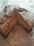 Torta all'arancia