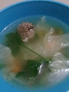 Foto resep Sop daging MPAsi 1YO
