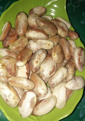 Foto resep Beton nangka / isi nangka godog