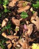 California Farm Wild Rice Mushroom Pilaf