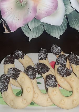 عکسی از دستور بیسکوییت نعلی